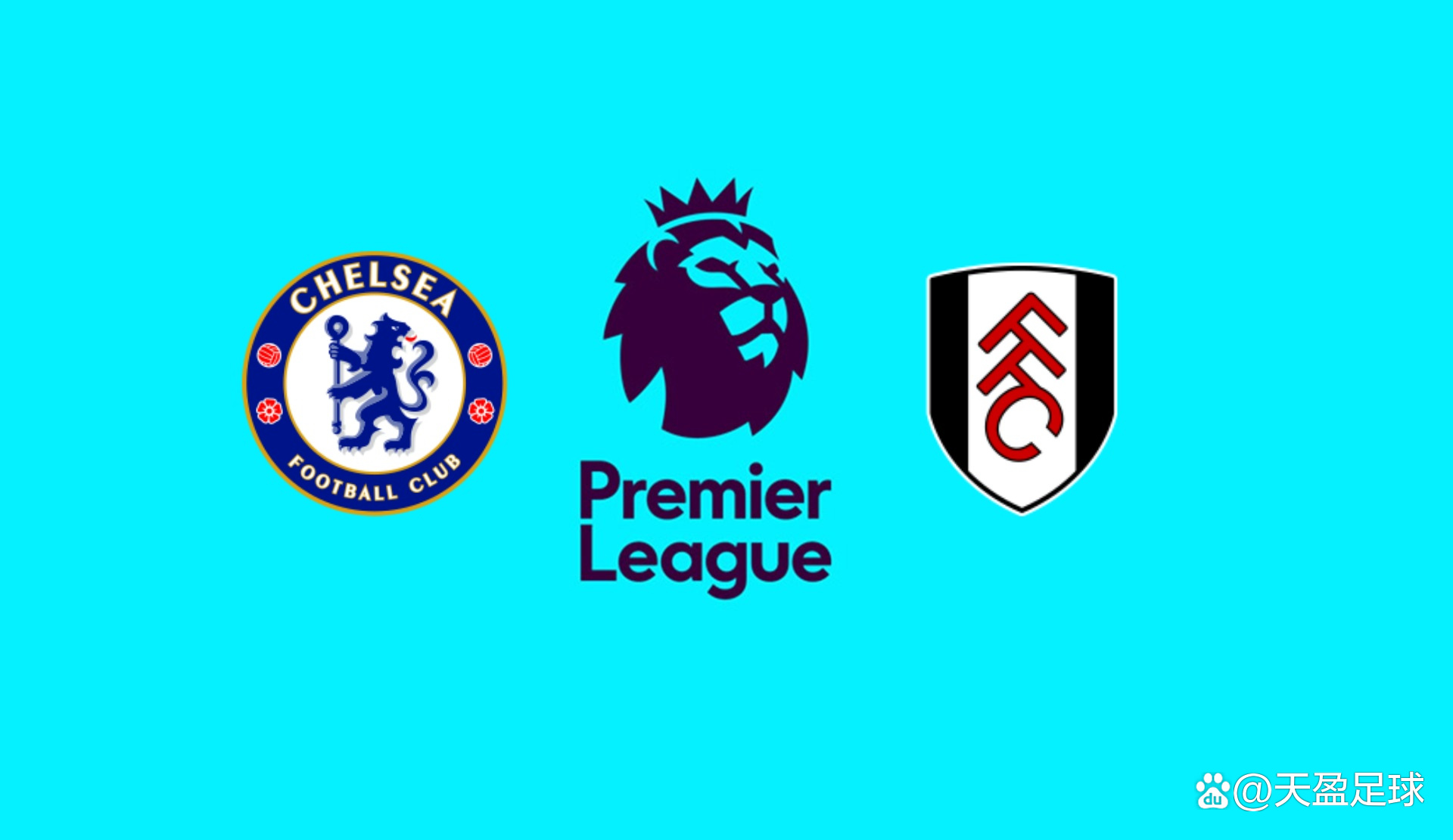 上海海港实现三连冠，申花亚军，梅州客队降级，亚冠表现不佳，山东泰山机会最大。